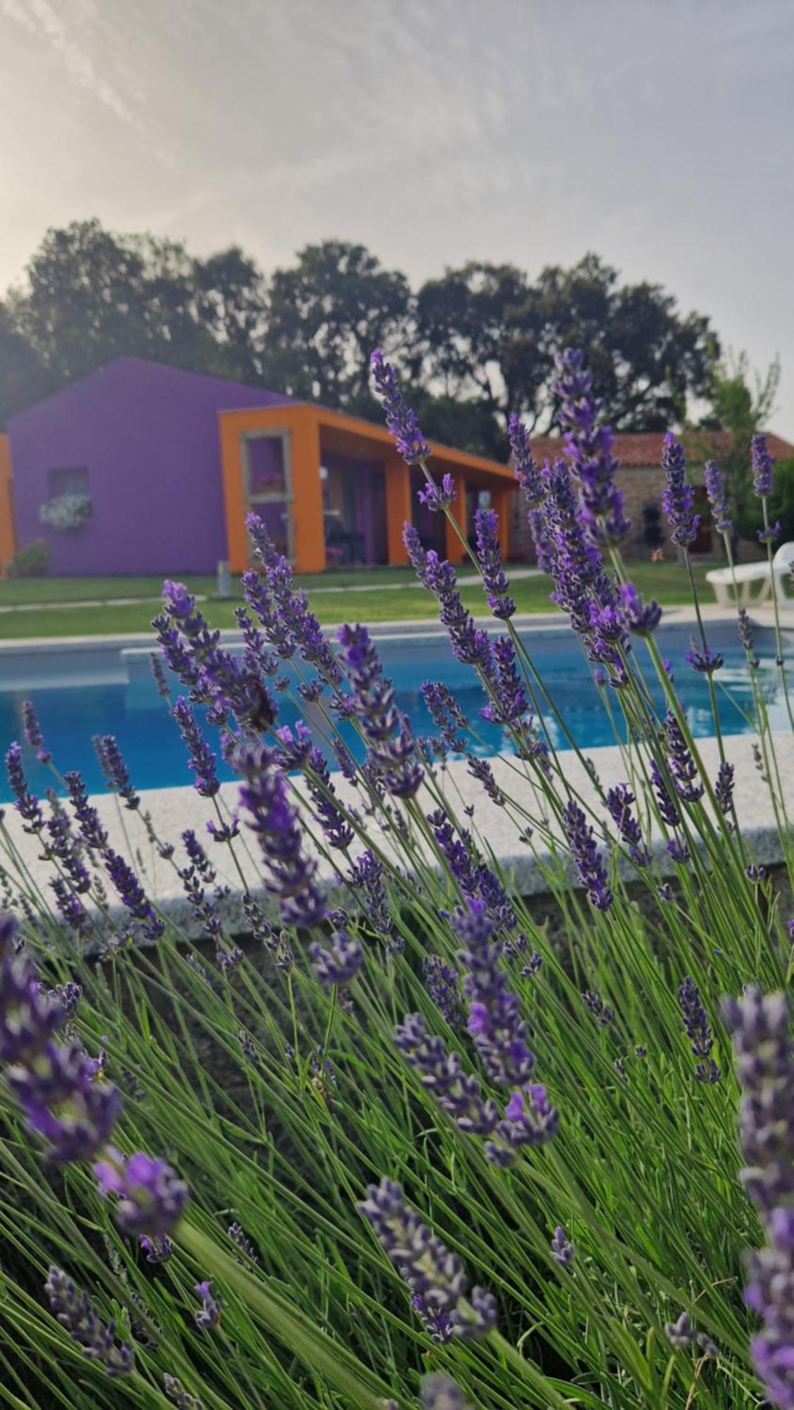 Limbara Dreaming Hotel Tempio Pausania Exterior photo
