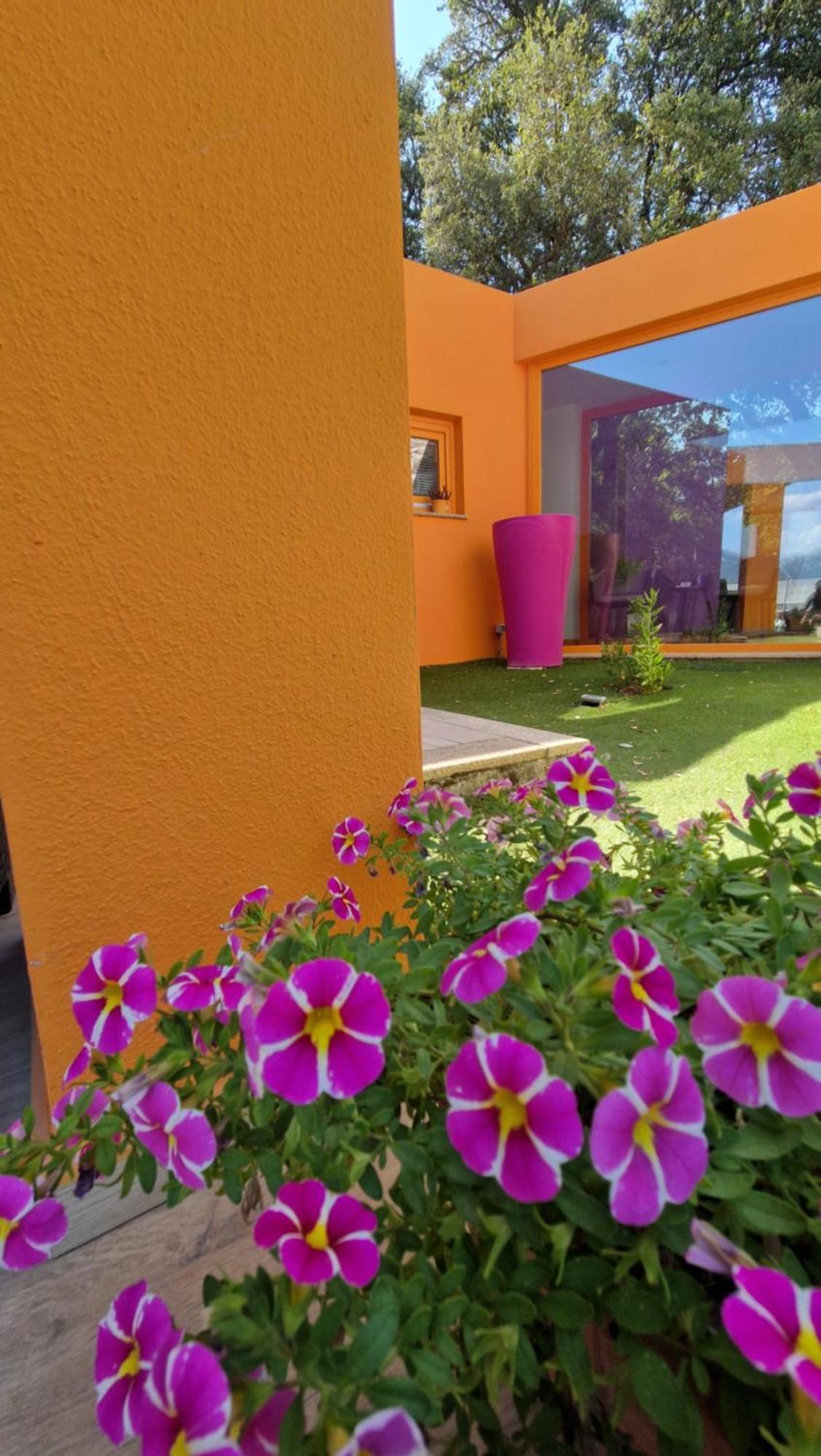 Limbara Dreaming Hotel Tempio Pausania Exterior photo